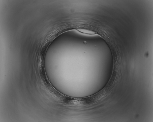 X0000116290219200912141319