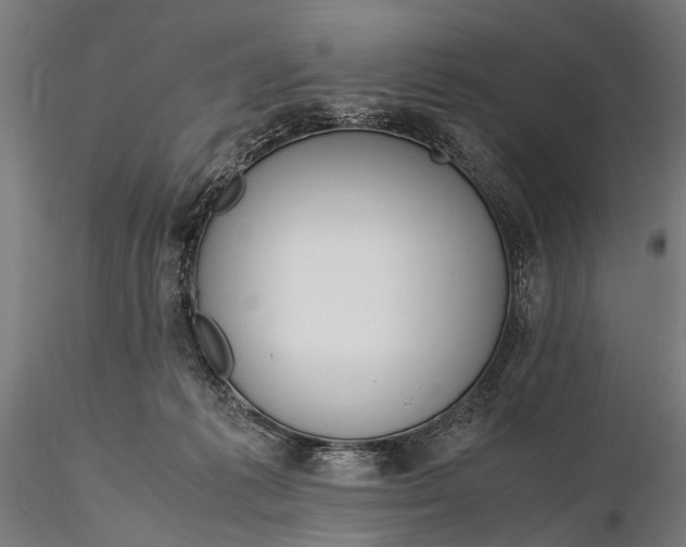 X0000116290221200912141319