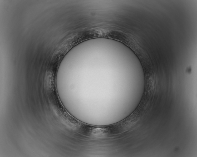 X0000116290222200912141319