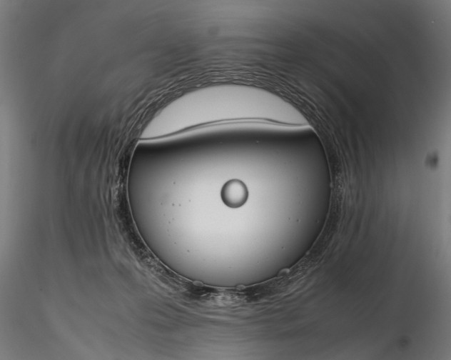 X0000116290223200912141319