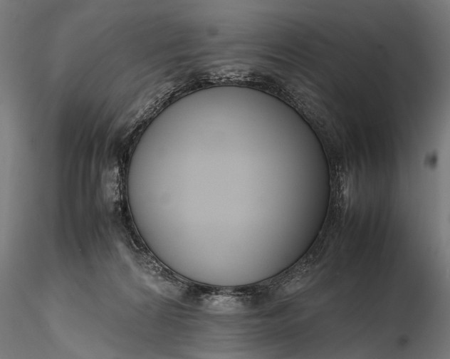 X0000116290224200912141319