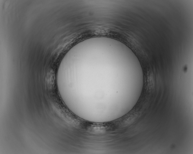 X0000116290228200912141319