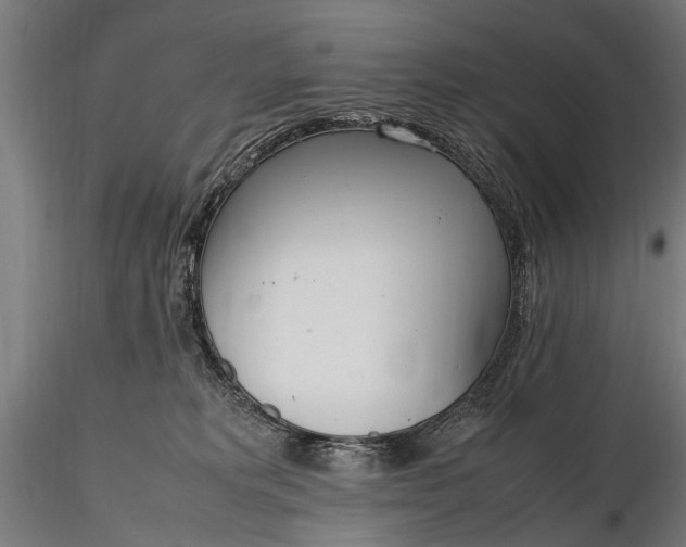 X0000116290229200912141319