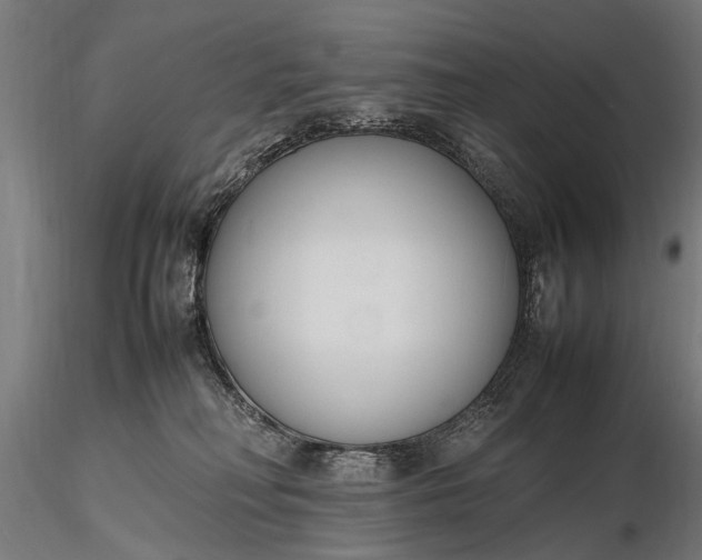 X0000116290230200912141319