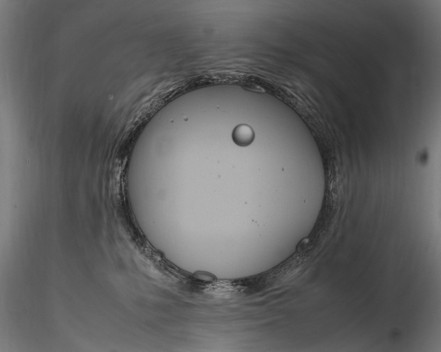 X0000116290231200912141319