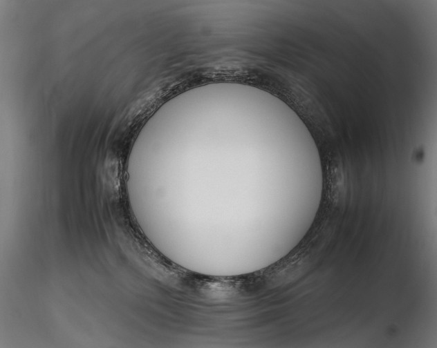 X0000116290232200912141319