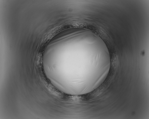 X0000116290233200912141319