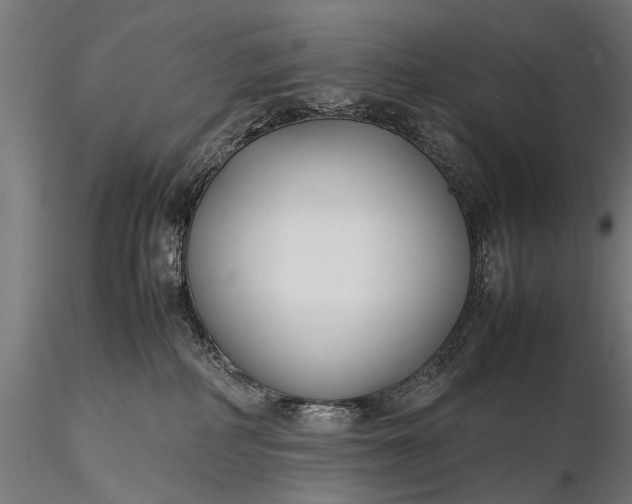 X0000116290234200912141319