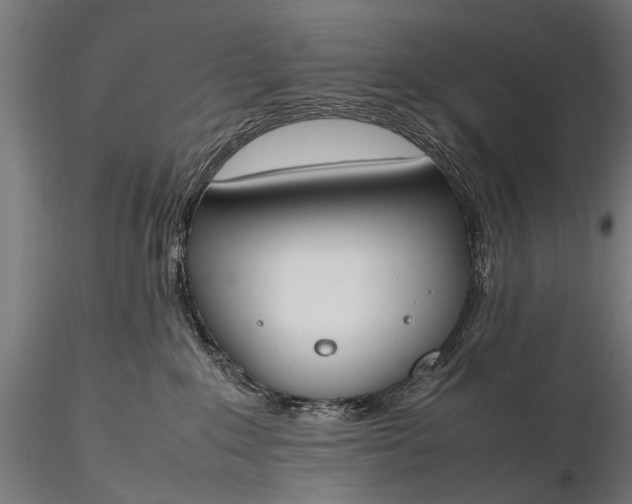 X0000116290235200912141319