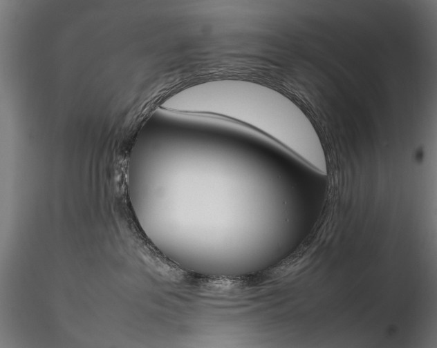 X0000116290237200912141319