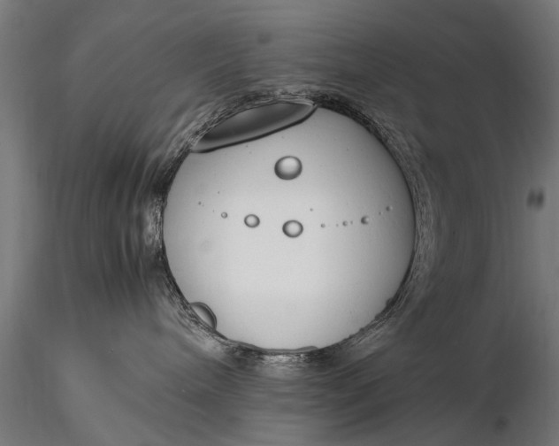 X0000116290240200912141319