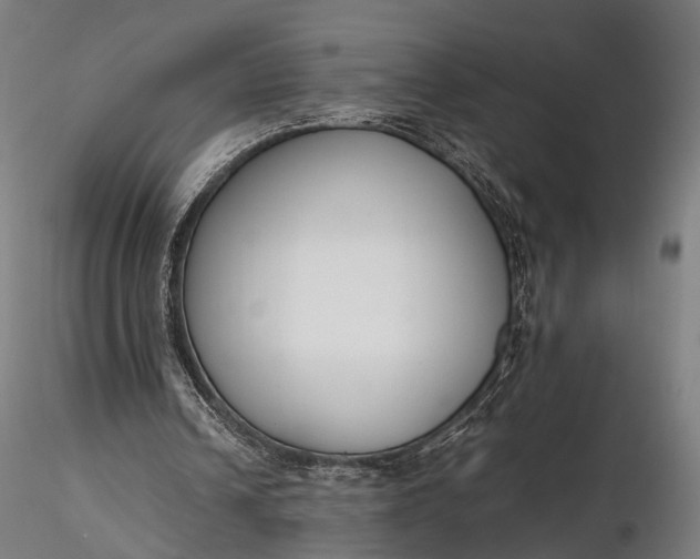 X0000116290242200912141318