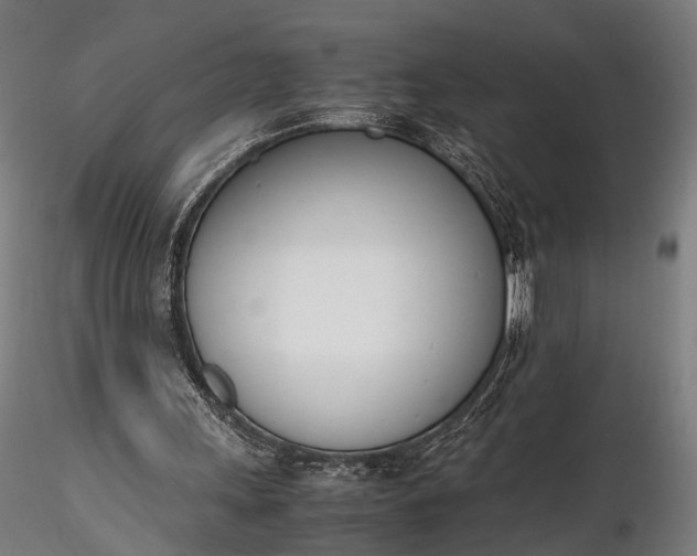 X0000116290243200912141318