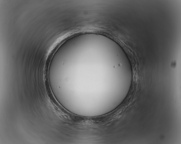 X0000116290244200912141318