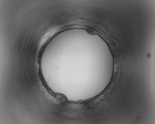 X0000116290245200912141318