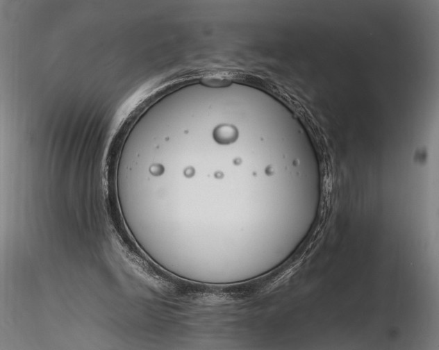 X0000116290246200912141318