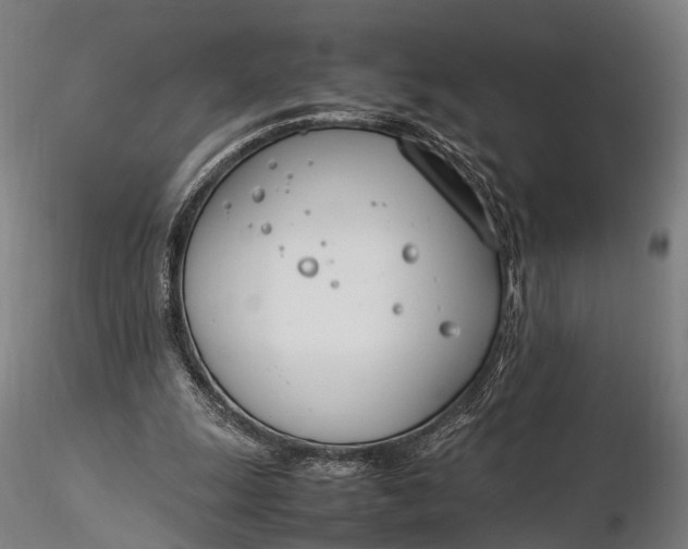 X0000116290247200912141318