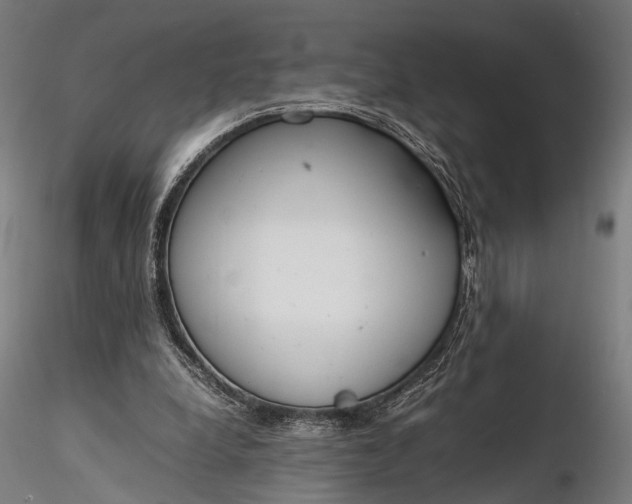 X0000116290248200912141318