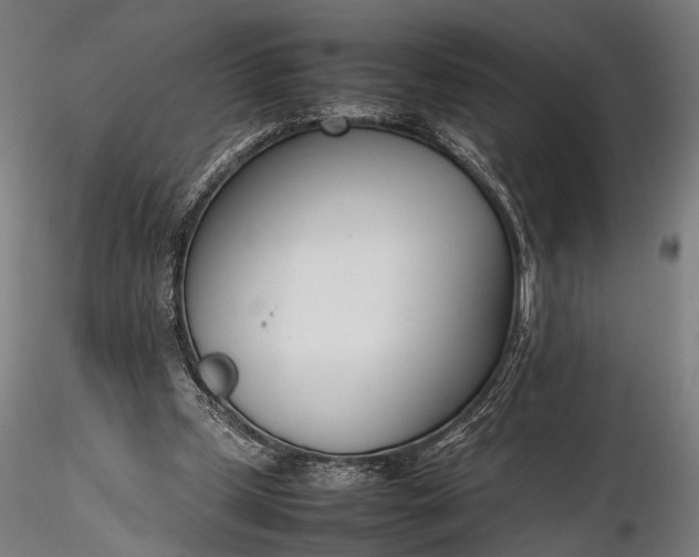 X0000116290249200912141318