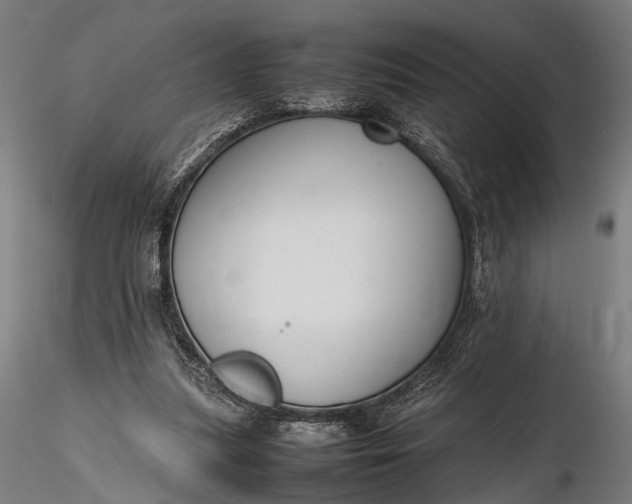 X0000116290251200912141319