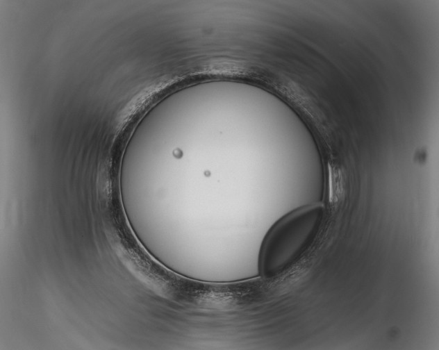 X0000116290252200912141319