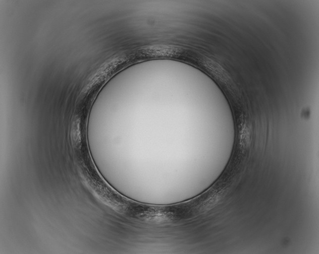 X0000116290254200912141319