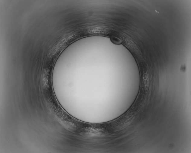 X0000116290255200912141319