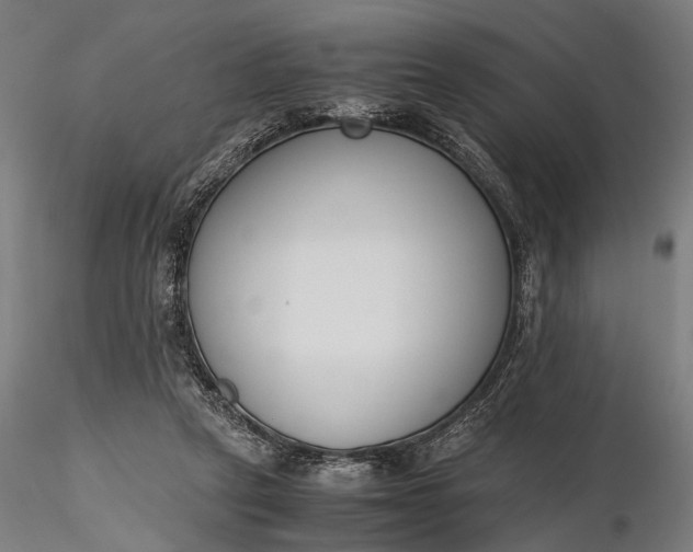 X0000116290257200912141319