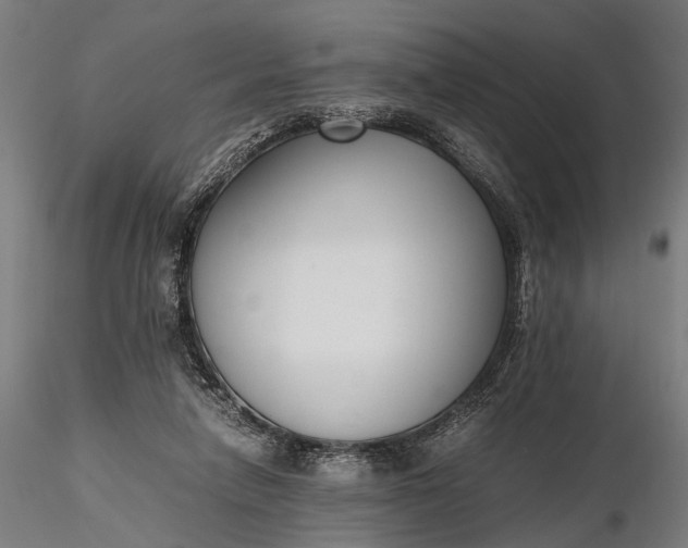 X0000116290258200912141319