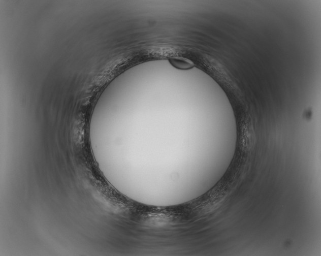 X0000116290259200912141319