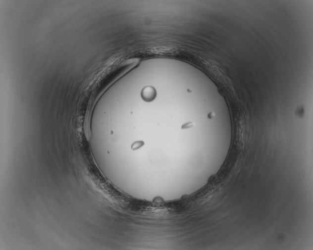 X0000116290260200912141319