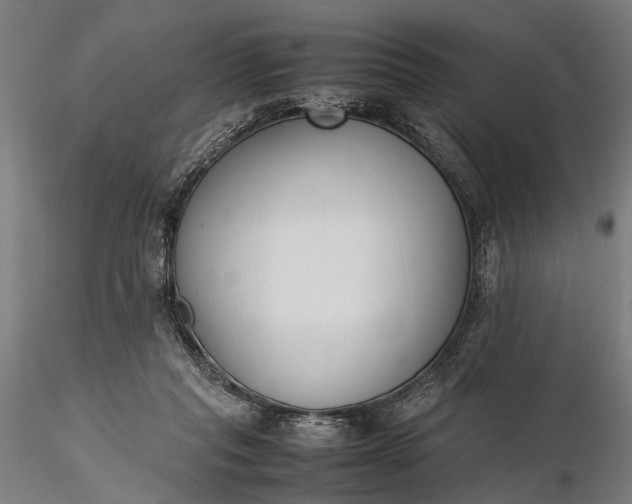 X0000116290261200912141319