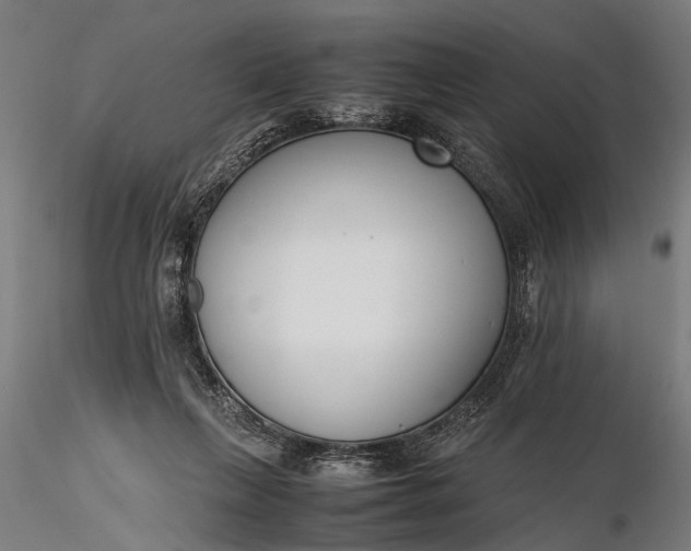 X0000116290263200912141319