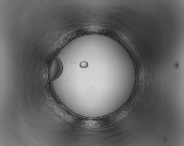 X0000116290265200912141319