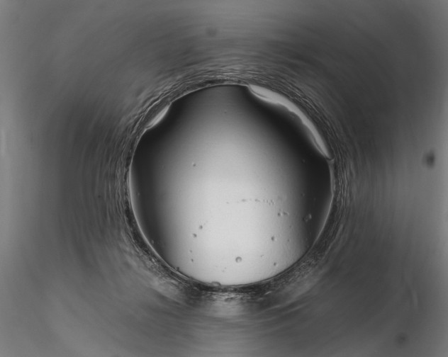 X0000116290268200912141319