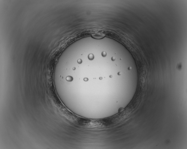 X0000116290270200912141319