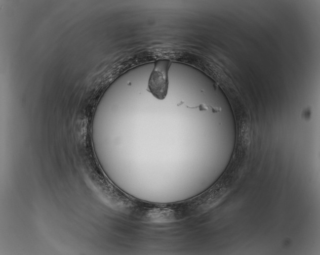 X0000116290271200912141319