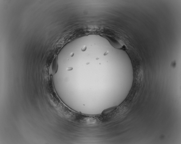 X0000116290272200912141319