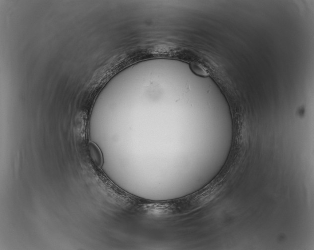 X0000116290273200912141319