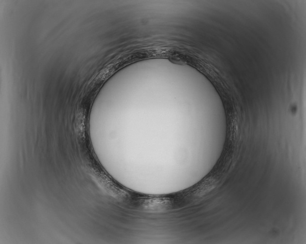 X0000116290274200912141319