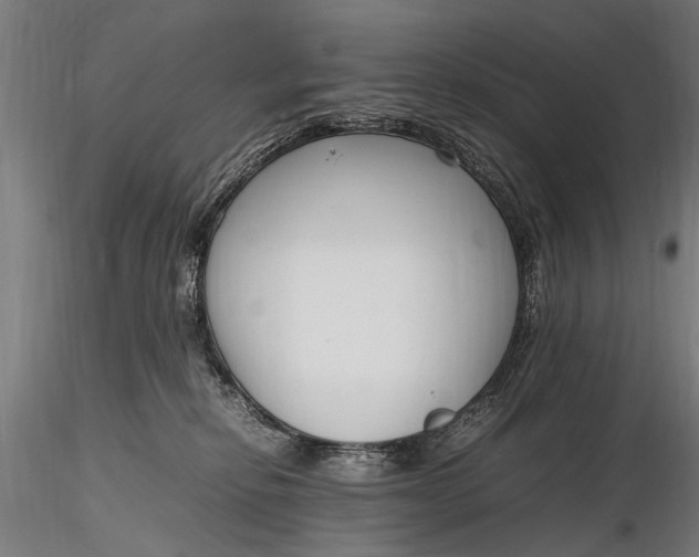 X0000116290278200912141319