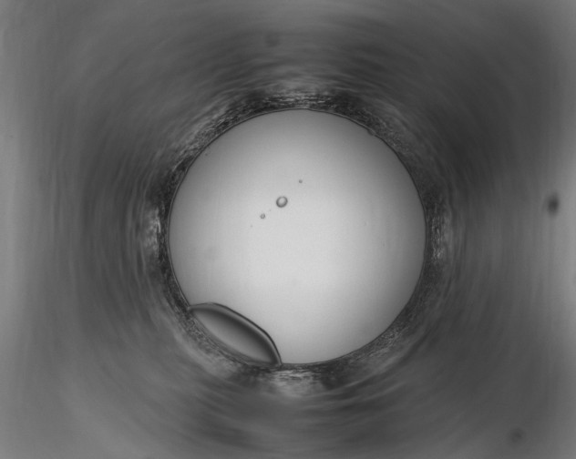 X0000116290279200912141319