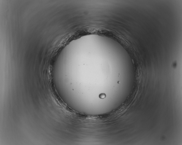 X0000116290280200912141319