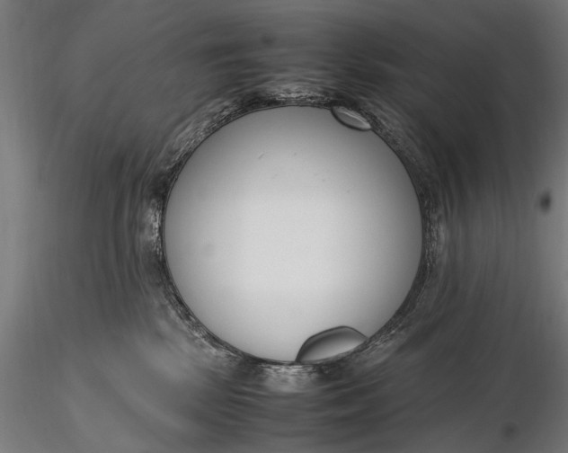 X0000116290281200912141319