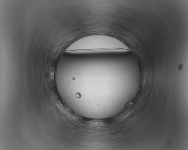 X0000116290284200912141319