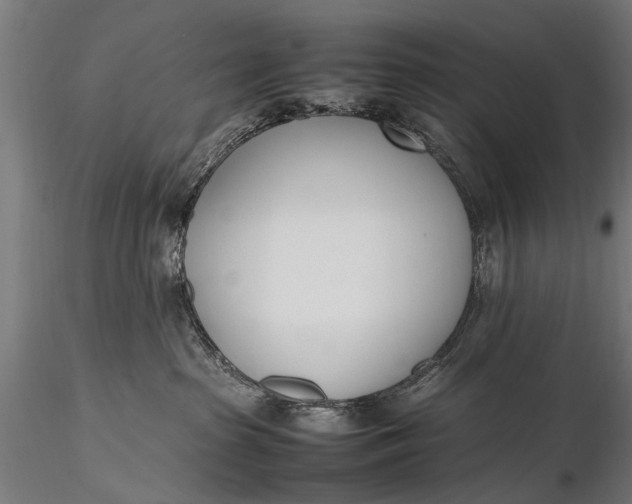 X0000116290285200912141319