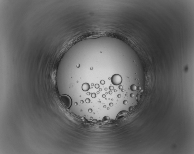 X0000116290286200912141319