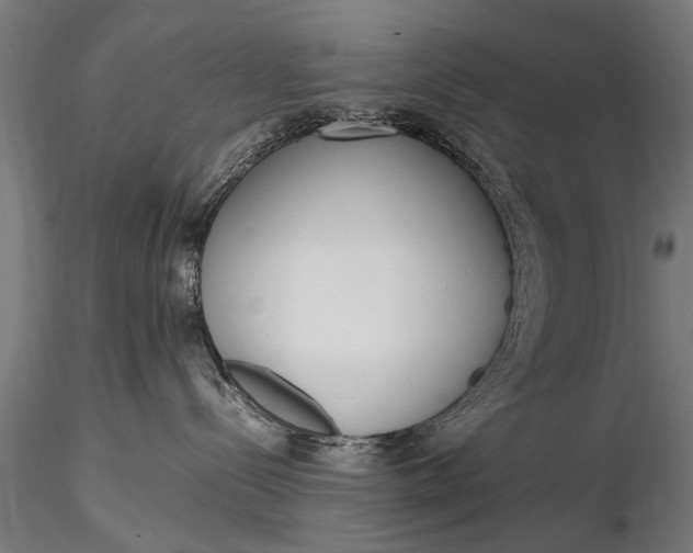 X0000116290288200912141319