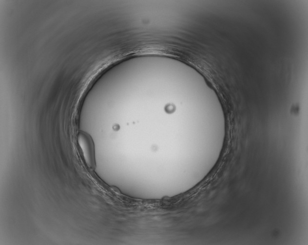 X0000116290289200912141318