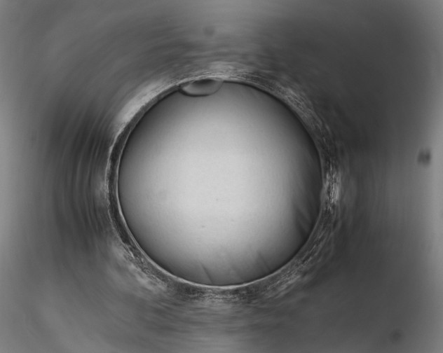 X0000116290292200912141318